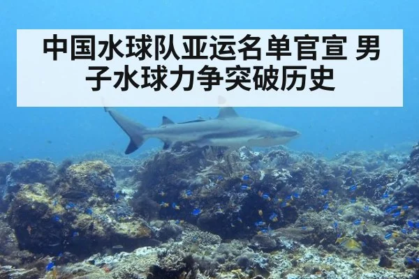 中国水球队亚运名单官宣 男子水球力争突破历史